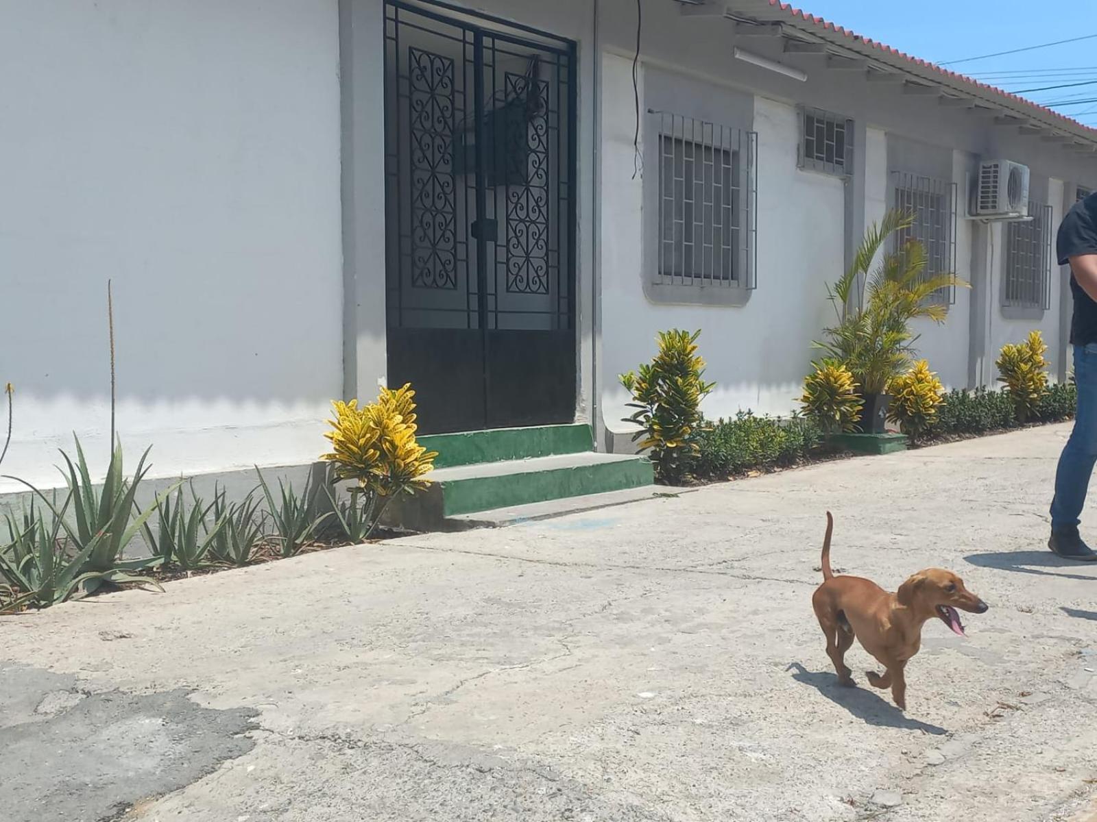 Habitacion Suite Sencilla Playas Ngoại thất bức ảnh